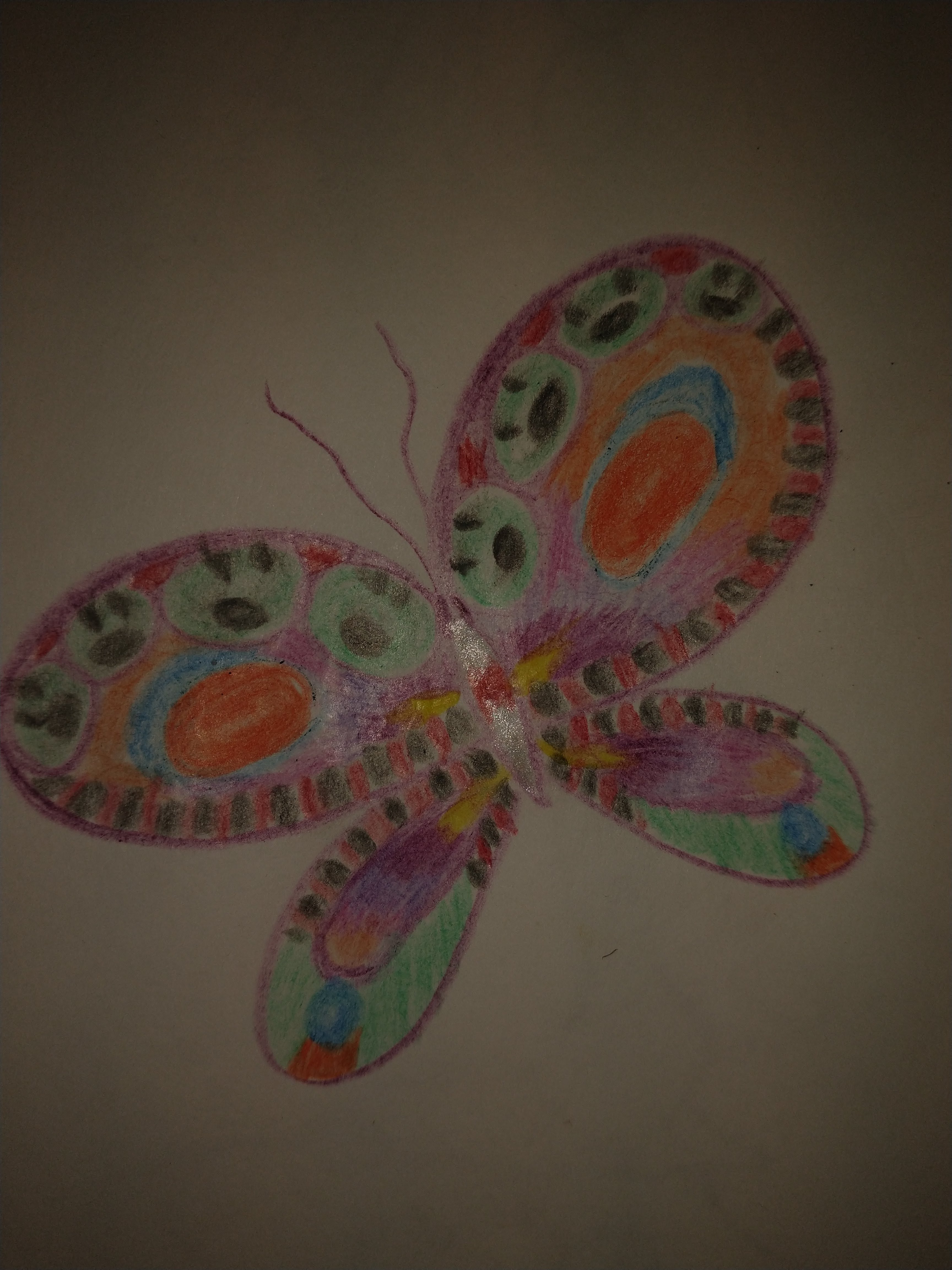butterfly1